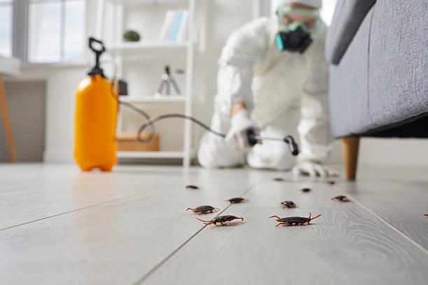 Trusted Fumigation Services service in Germantown, OH - Nex Pest Control