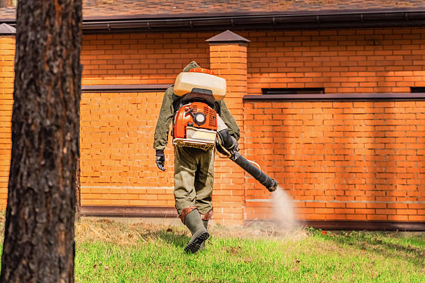 Trusted Termite Control service in Germantown, OH - Nex Pest Control